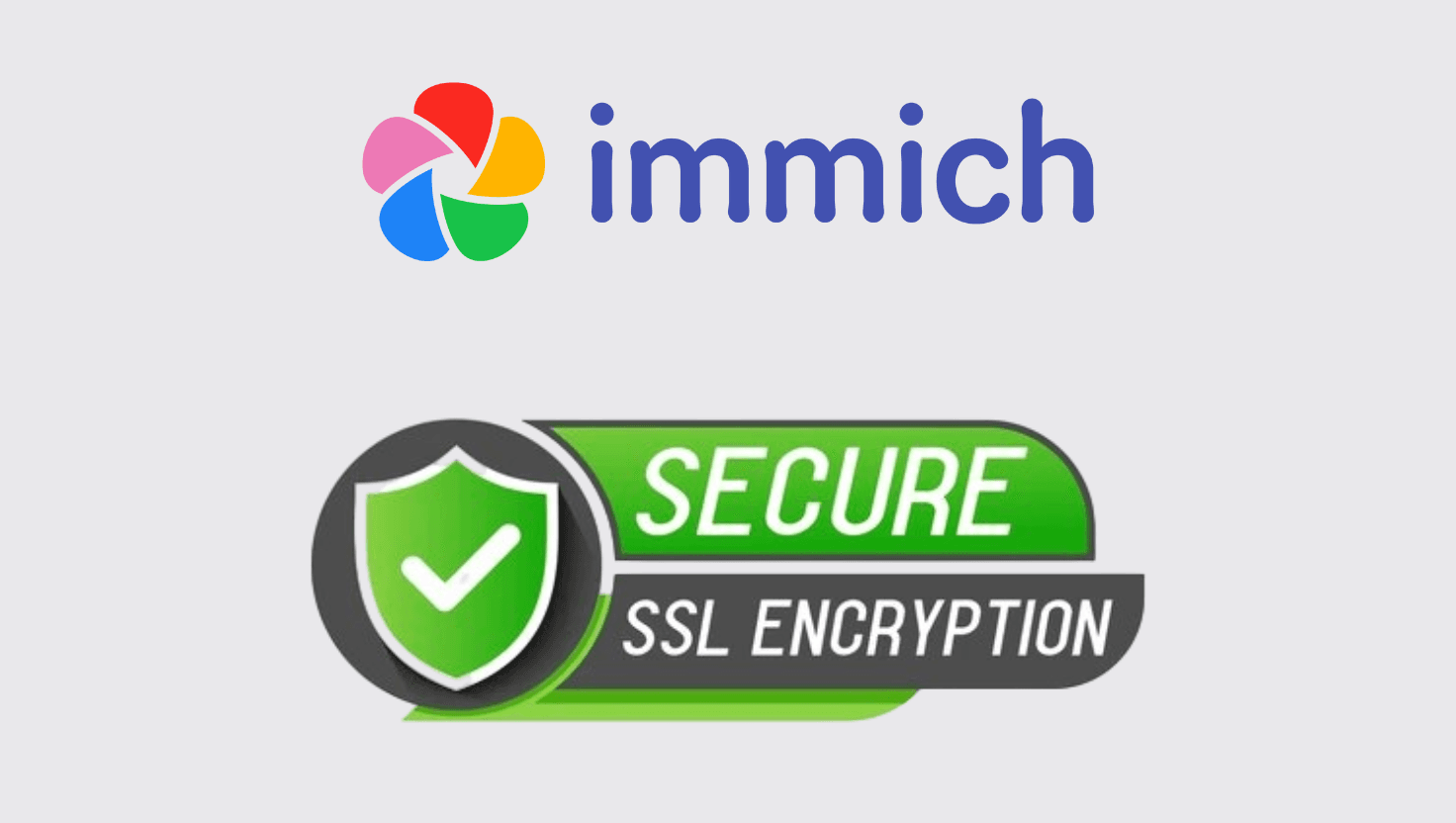 Immich Server SSL Setup